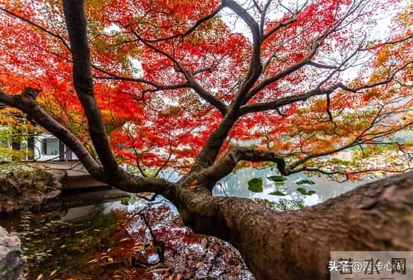 我同居过3位女性，发现女性45岁后找伴侣主要有3个动因