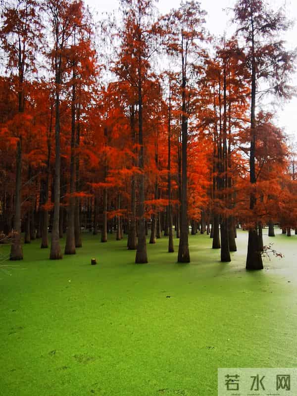 人有没有福相，一看便知，有福相之人，有以下三个主要特征