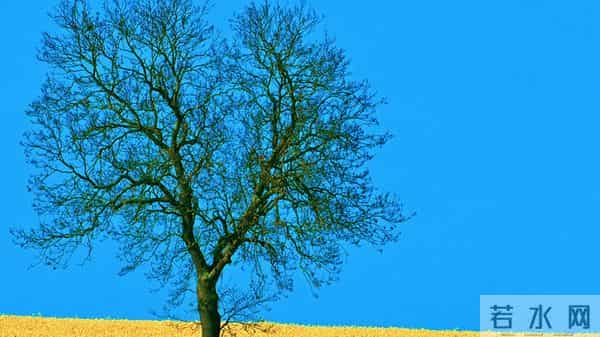 12月11日今日星座,狮子座,会有事发生!