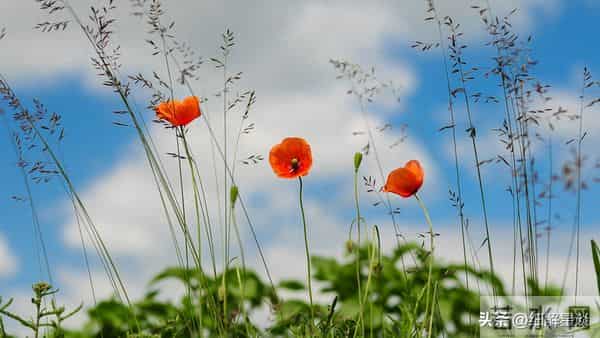 12月11日星期四，丑牛，可能会有有事发生