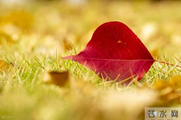 一个52岁女人的心里话：夫妻关系再好，女人也不要把丈夫当成亲人