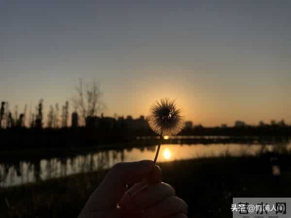 “负债”让我换了一种新的活法——“发财”