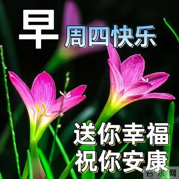 今日最新早上好金句,健康胜过一切祝福语,祝您健康快乐