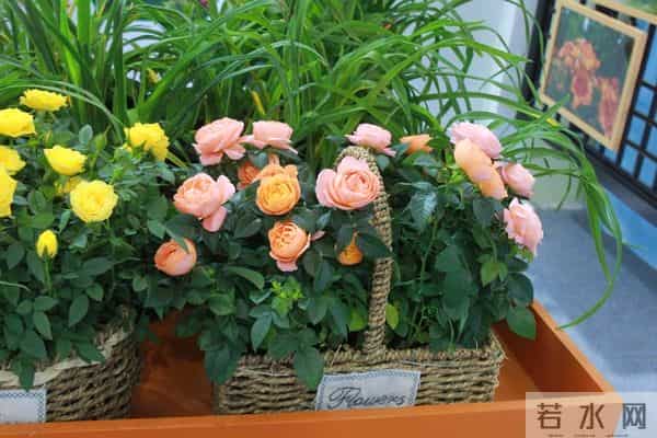 当遇见心头蜜糖宝贝，大声勇敢说爱，不负卿来不负己，让人间值得