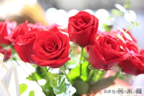 一个男人写给灵魂知己的深情告白，无数人直呼共鸣！