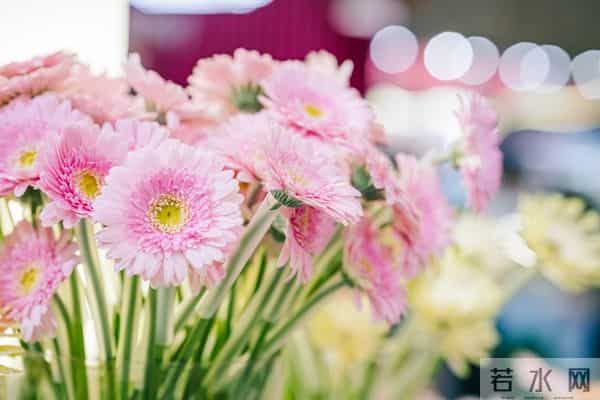 当遇见心头蜜糖宝贝，大声勇敢说爱，不负卿来不负己，让人间值得