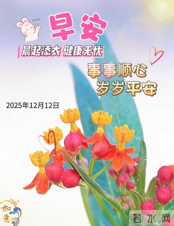 2025年12月12日早上好 早安周五愉快 早安精美美图温馨祝福语 早上好