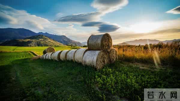 来报恩的女婿，身上会有这3个记号，看看你家的有没有
