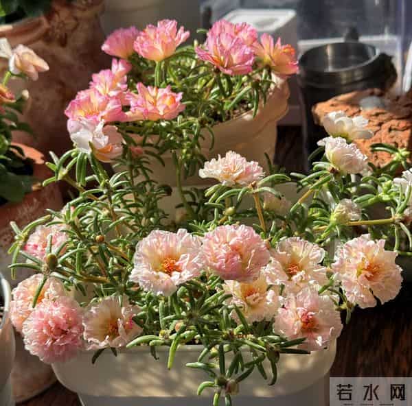 人生最稳的靠山：不是父母，不是伴侣，而是独立的自己