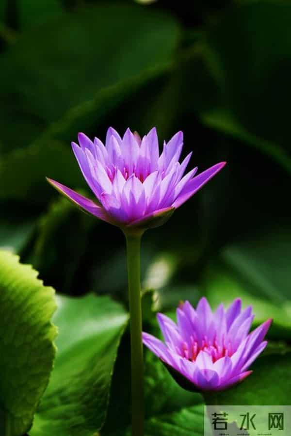 这样联系你的人，八成是想你了