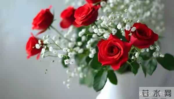 年过五十的70后夫妻,如果只有一个儿子,请尽量做到“五个要”