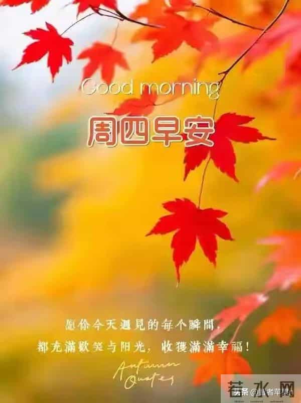 2025年12月11日早安问候：用温度融化冬日的寒