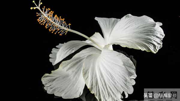 第二名：巨蟹座，12月12号，接下来11天，得跟你说句大实在话！