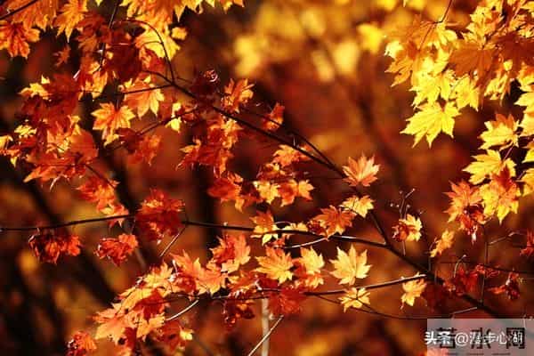 两性交往，刺激女人荷尔蒙的6个“心”开关，让她彻底为你折服！