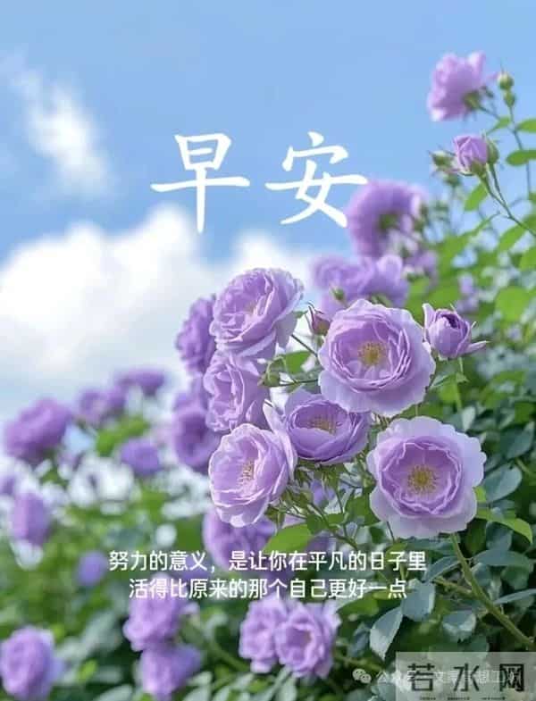 早安美图分享：愿你好运常在，所遇之事皆可化解