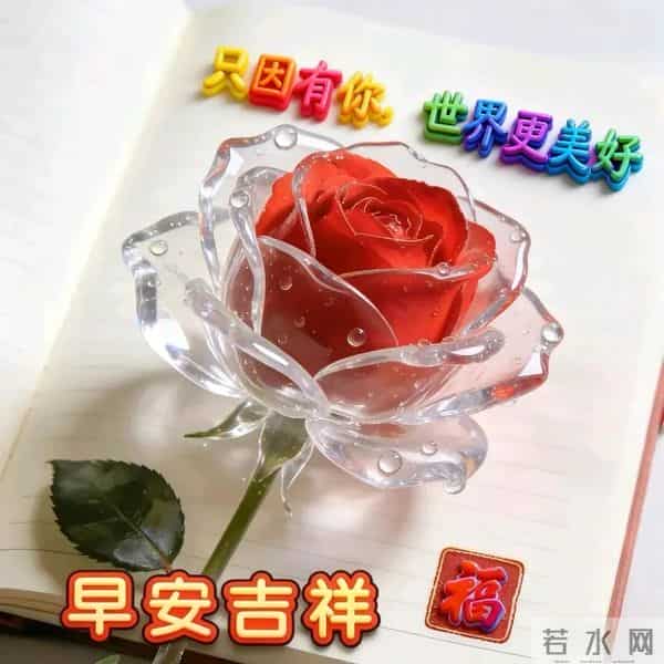 早安！允许一切顺其自然，才能遇见无限可能，保持从容，万事皆美