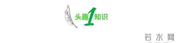 “把闺蜜打胎的秘密告诉了对象”引群嘲，暴露了人性最丑陋的真相