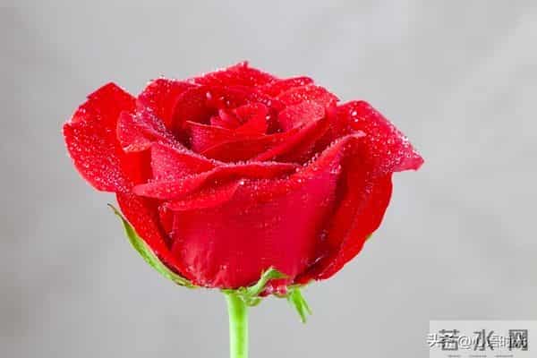 两性揭秘：为什么晚年夫妻越恩爱，越容易有这三种难言之隐