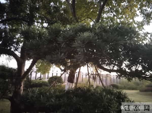 再安分的女人，包括中年女人，也难挡男人四大情感诱惑