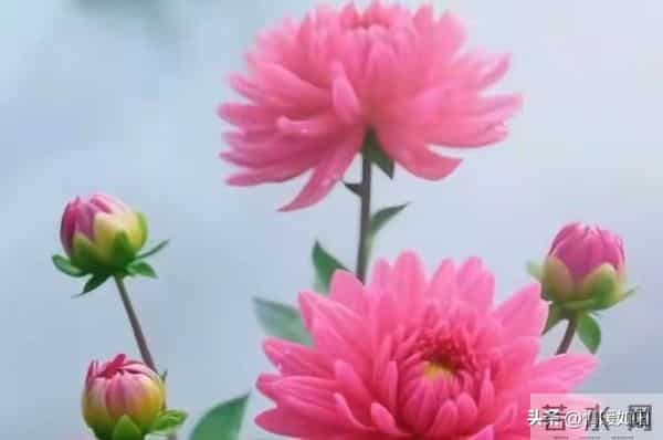 两性交往，这些“肉麻话”，女人很爱听，尤其是过了中年的女人