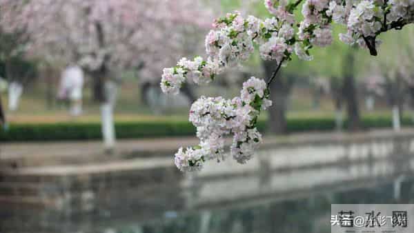 独生女毅然拒绝沦为家庭扶贫之对象，亲家却执着索要四居室之婚房