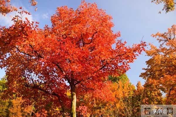 退休清华教授十条人生忠告:70岁后,一定要守住自己的幸福底线