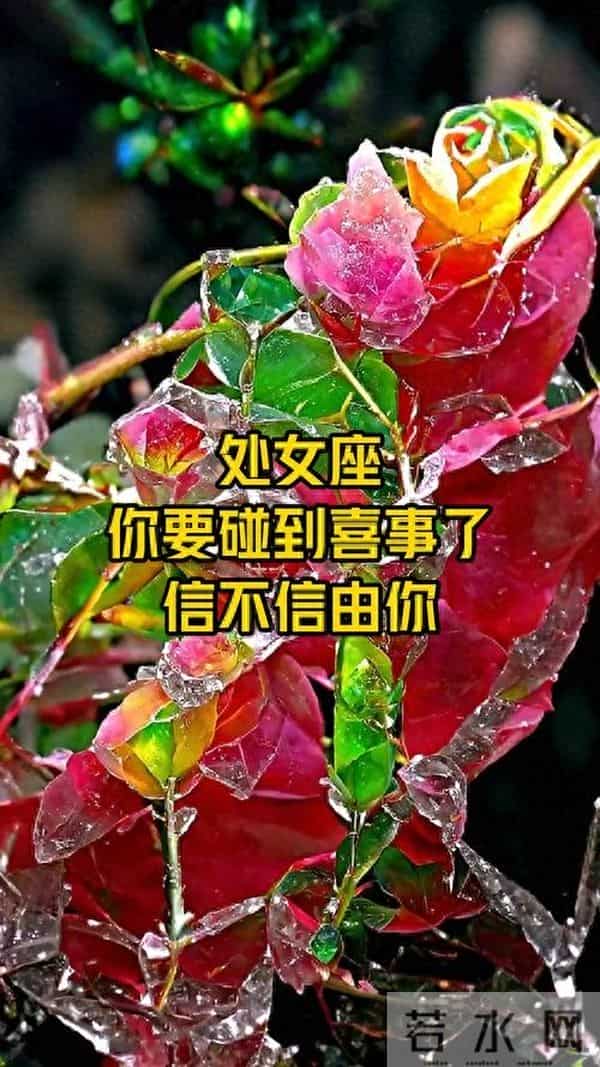 处女座明年双喜临门！