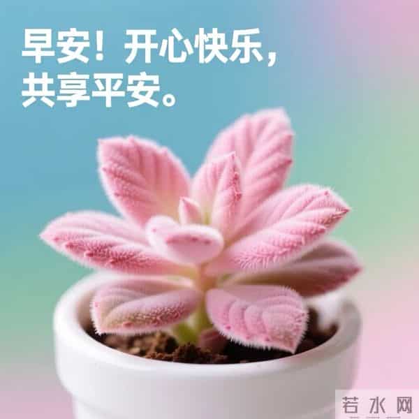 周五早安问候美图-愿这份温暖随光传递，让舒心在你心底凝聚