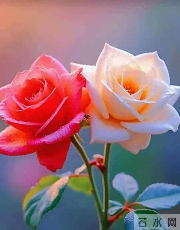 惊人的因果关系-男女之间，一旦发生暧昧关系，一辈子也忘不了