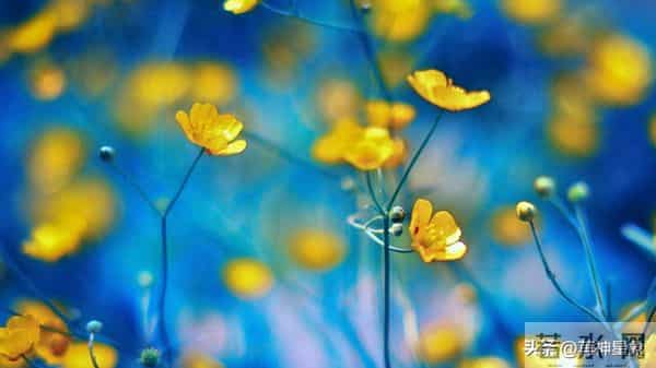 巨蟹，12月12日，星期五，不要怀疑，这是天意！