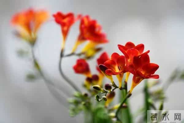 熬出头了，72年属鼠人，你的好日子来了