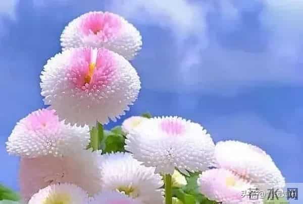 两性交往，这些“肉麻话”，女人很爱听，尤其是过了中年的女人