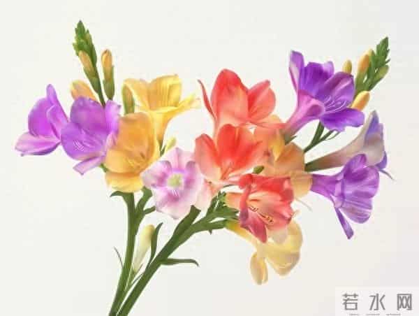 熬出头了，72年属鼠人，你的好日子来了