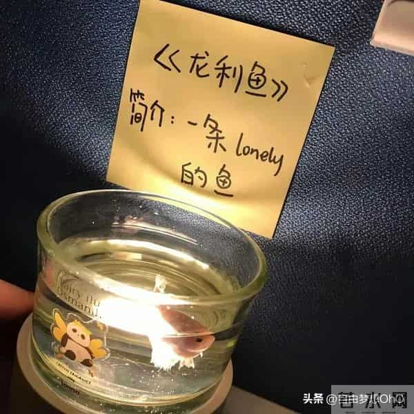 主见太强，一般人搞不定的星座