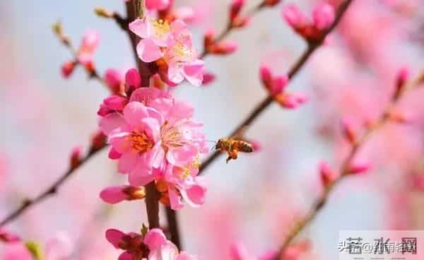 女人对你动情了，会有哪些细微动作？哪怕只触碰一个，她已难自控