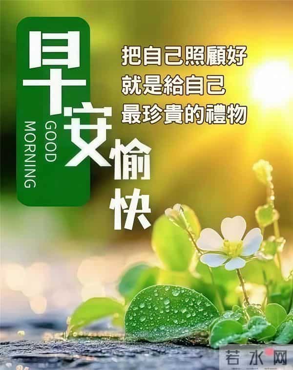 25句清晨暖心祝福，晨光温柔，情谊绵长，愿你岁岁安然、万事顺意