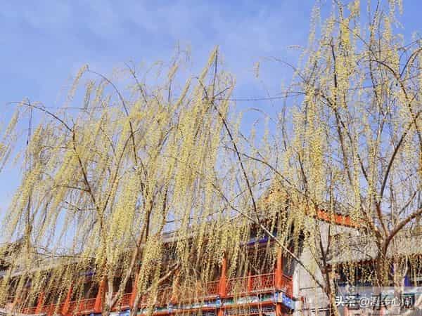 男人触碰女人这个地方，比亲吻拥抱还让她心动，50岁后越碰越恩爱