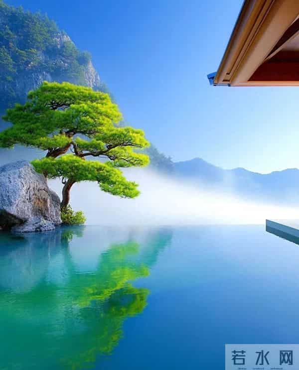 看完此文，你就懂得了：该放就放，日子才舒畅