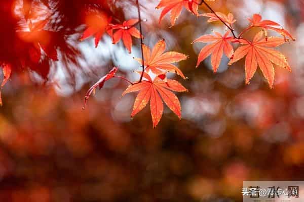我同居过3位女性，发现女性45岁后找伴侣主要有3个动因