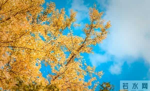 老了才明白：父母一旦超过75，立刻停止3种行为，否则晚景会凄凉