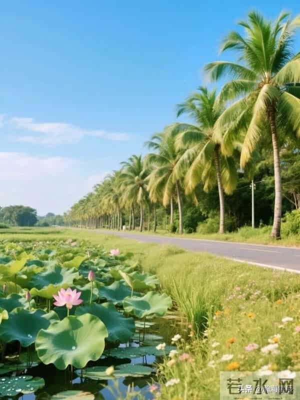 24句，短小精干的高情商句子，拿去发朋友圈，很飒