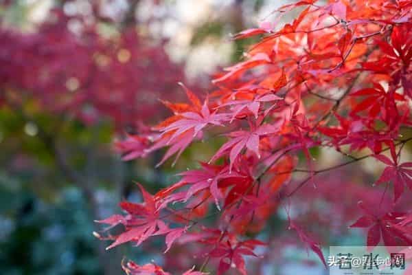 我同居过3位女性，发现女性45岁后找伴侣主要有3个动因