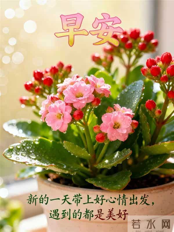 2025年12月11日，星期四，农历十月二十二，早安吉祥祝福语！