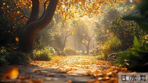 61岁的我，办了一场同学聚会后，才发现：44年的同学情也薄如纸