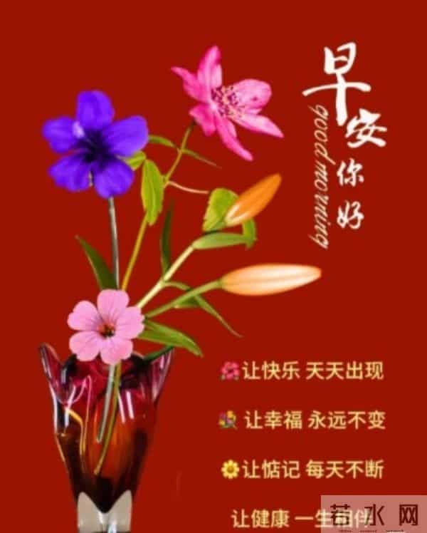 一抹红，一句早安暖心头