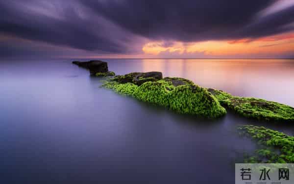 来报恩的女婿，身上会有这3个记号，看看你家的有没有