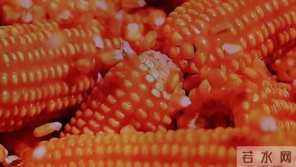 活在这个世上，永远不要怪别人对你的态度，因为他们对你的态度取决于你的实力，倘若你是有实力的人，那么别人自然愿意靠近你。