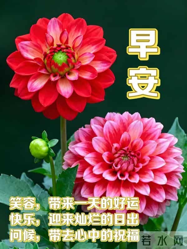 周五早安问候美图-愿这份温暖随光传递，让舒心在你心底凝聚