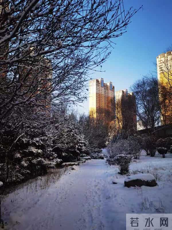 心闲，意淡，日子缓缓。