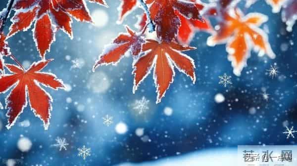 61岁的我，办了一场同学聚会后，才发现：44年的同学情也薄如纸